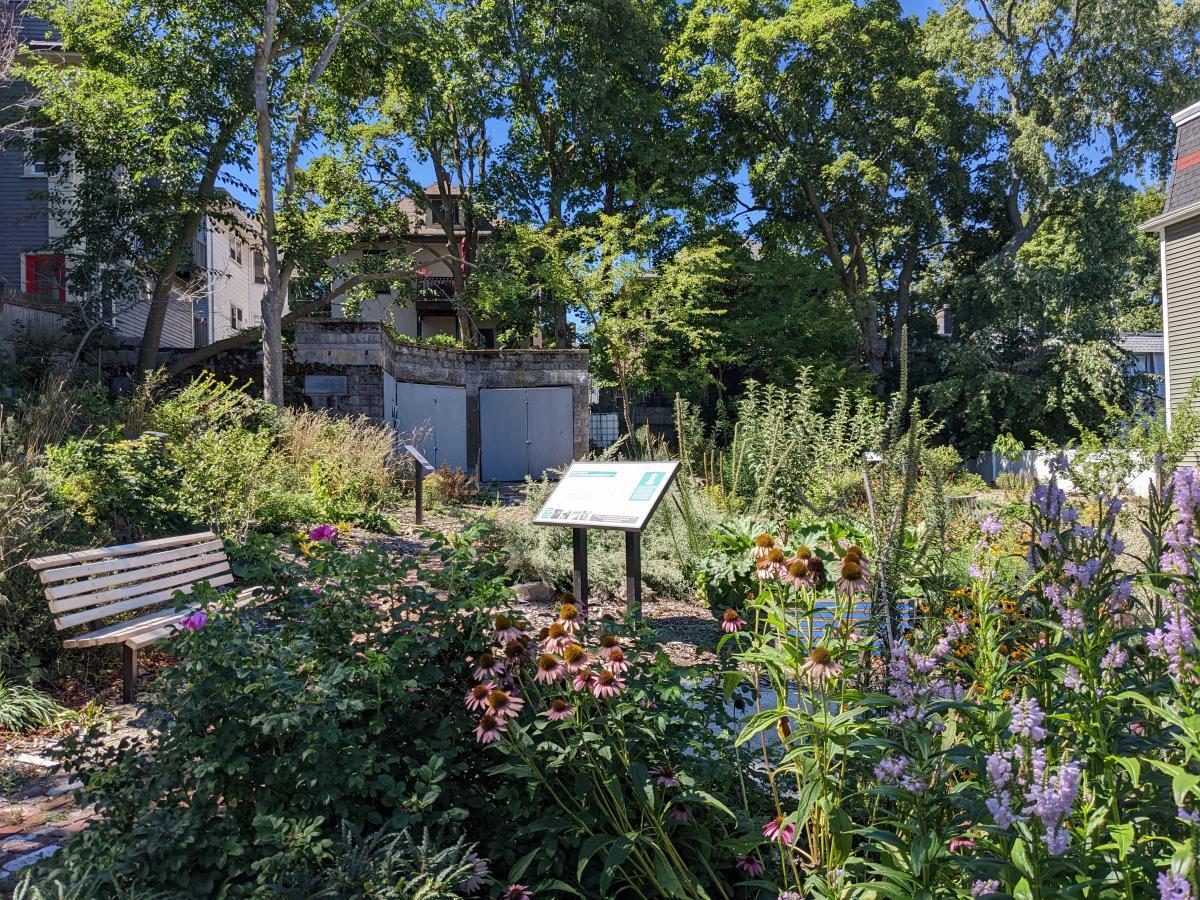 Uphams Corner Food Forest